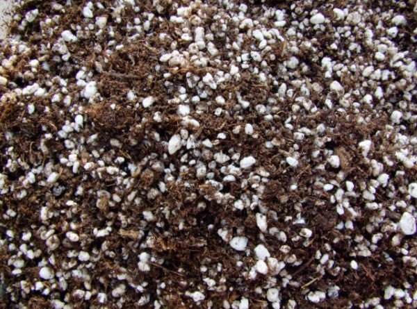 Substrat "Plantes Carnivores"
